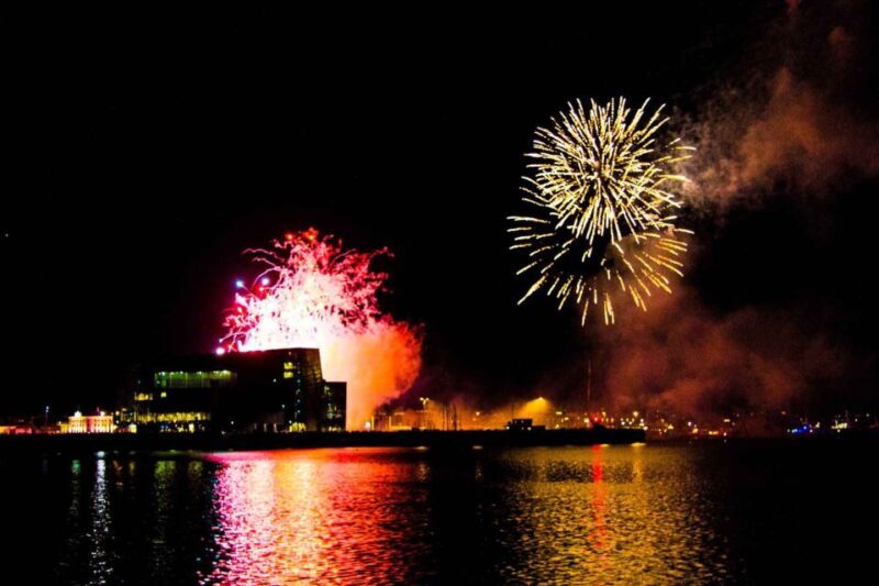 Reykjavik: New Year's Eve Fireworks Cruise - User Perspectives and Authentic Feedback