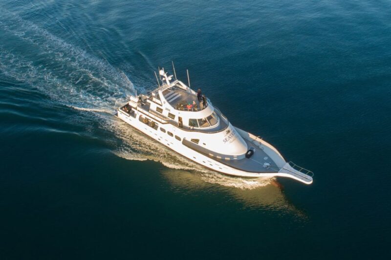 Reykjavik: New Years Fireworks Midnight Cruise - An In-Depth Look at the Reykjavik New Years Fireworks Midnight Cruise