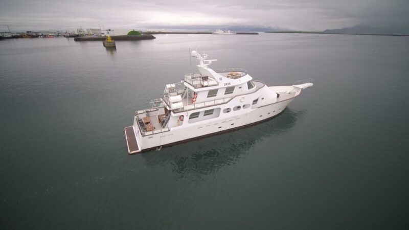 Reykjavik: New Years Fireworks Midnight Cruise - Final Thoughts