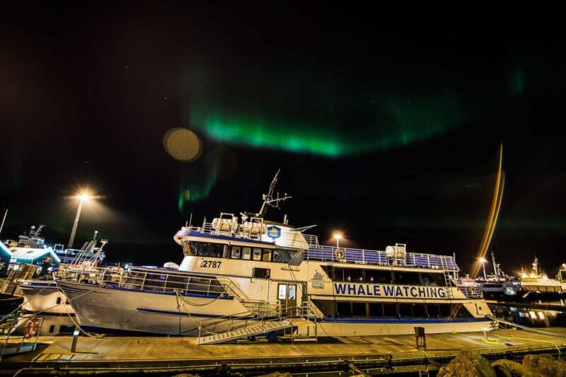 Reykjavik: Northern Lights Guided Boat Tour - The Sum Up