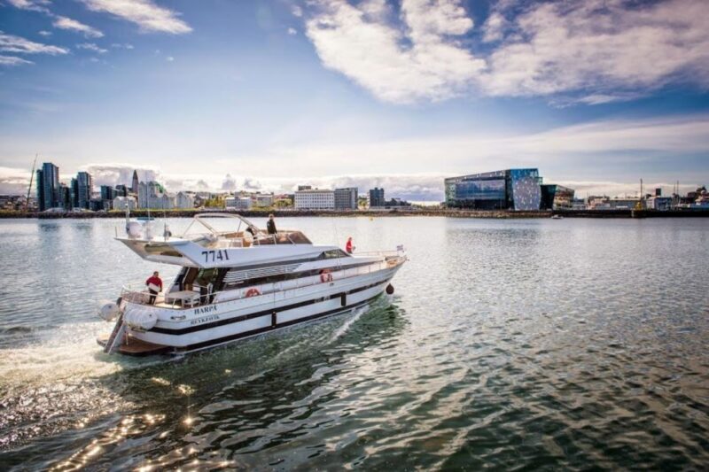 Reykjavik: Northern Lights Motor Yacht Cruise - Who Will Love This Tour?