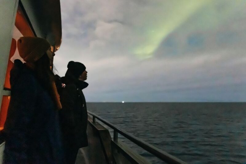 Reykjavik: Northern Lights Yacht Tour - In The Sum Up
