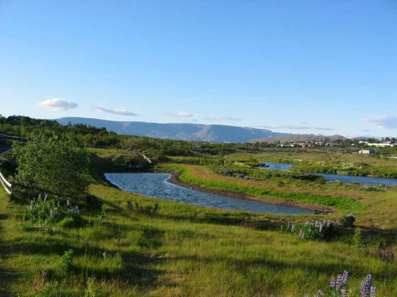 Reykjavik: Private City Tour Highlights - Key Points