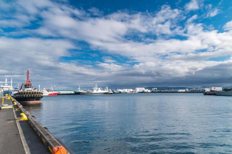 Reykjavik: Private City Tour Highlights - FAQs