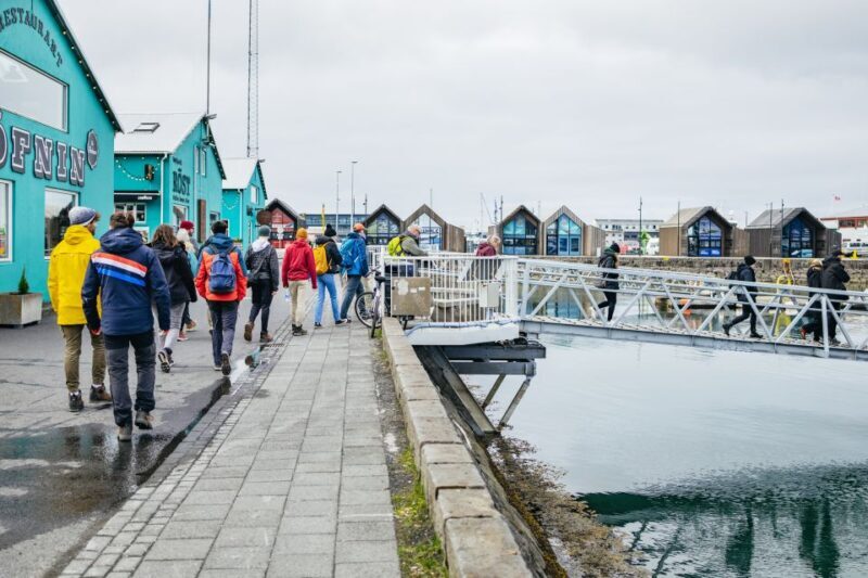 Reykjavik: Puffin Watching Boat Tour - Frequently Asked Questions