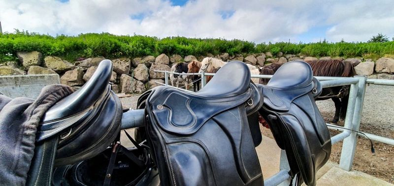 Reykjavik: Red Lava Horse Riding Tour - What to Bring (and What to Leave Behind)