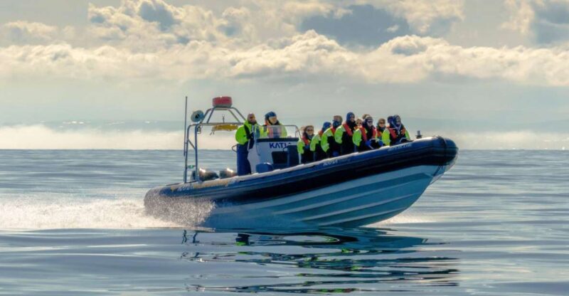 Reykjavík: RIB Speed-Boat Puffin Watching Tour - Who Should Consider This Tour?