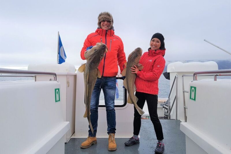 Reykjavik: Sea Fishing Boat Tour & BBQ with the Day's Catch - The Sum Up