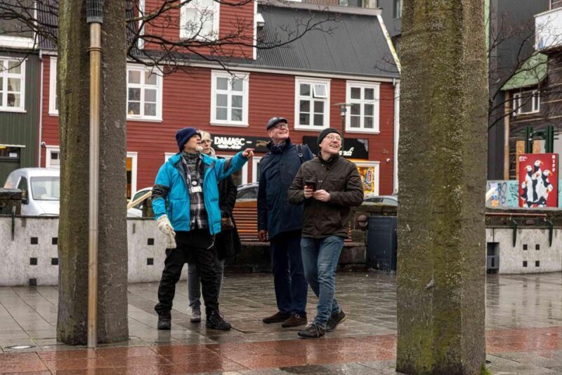 Reykjavik: Sightseeing Walking Tour with a Viking - Practical Details