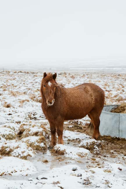Reykjavik: Silver Circle + Ice Tunnel, Baths, or Lava Cave - Exploring Western Iceland with Arctic Adventures