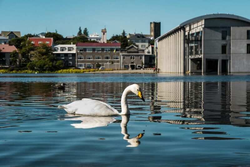 Reykjavik & Sky Lagoon (Pure Pass Entrance) - PRIVATE TOUR - FAQ