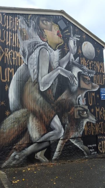 Reykjavik: Street Art Walking Tour - Exploring Reykjavik’s Street Art Scene