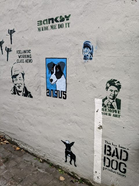 Reykjavik: Street Art Walking Tour - The Practical Side: Details and Value