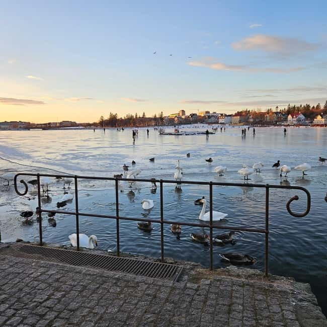 Reykjavik: Street Food Walking Tour - What Travelers Say