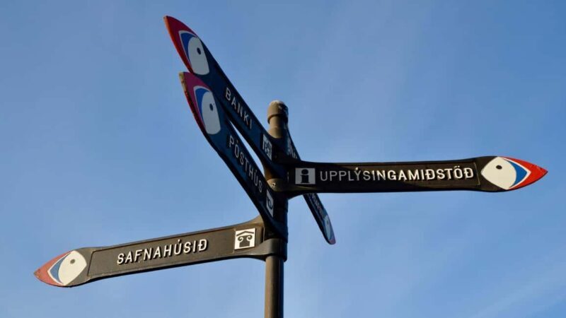 Reykjavik: Westman Islands Private Tour - Overall Value & Who Will Love This Tour