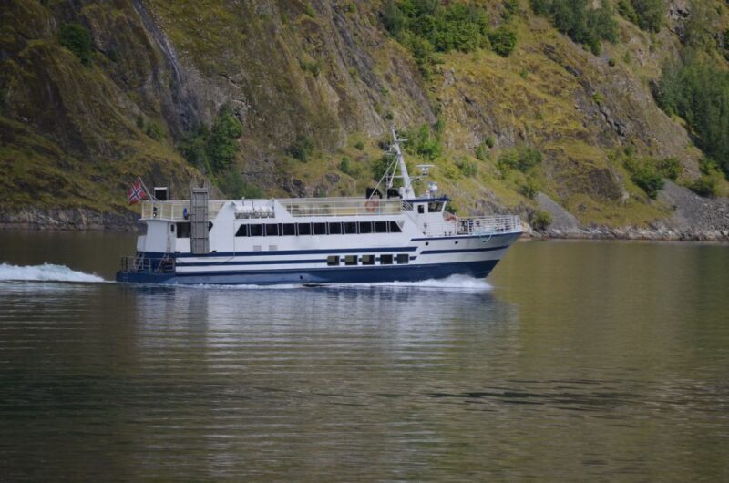 Reykjavik: Whale & Marine Adventure Tour - The Price and Its Value