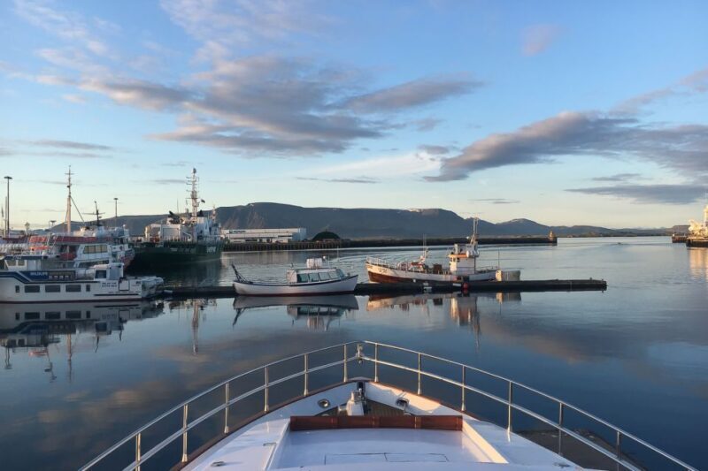 Reykjavik: Whale Watching and Dolphin Watching Yacht Cruise - Wrapping It Up
