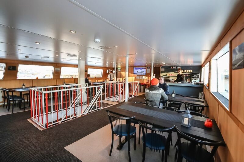 Reykjavík: Whale Watching and Marine Life Cruise - Weather and Clothing Tips