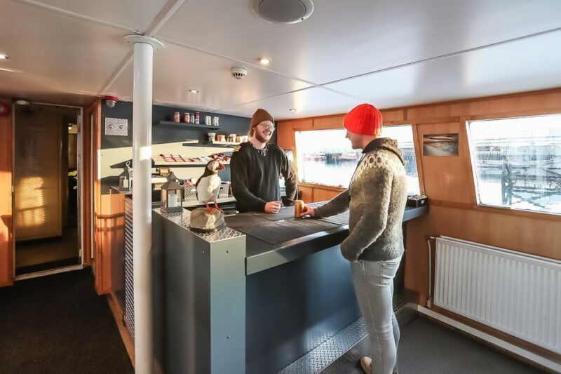 Reykjavík: Whale Watching and Marine Life Cruise - Who Will Love This Tour?