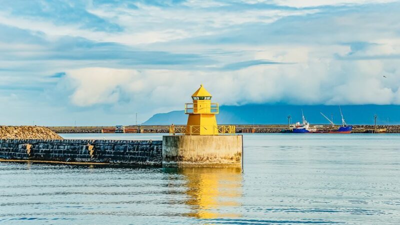 Reykjavík: Whale Watching and Marine Life Cruise - FAQ