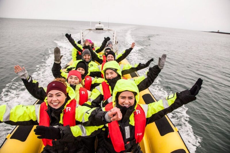 Reykjavik: Whale Watching by RIB Speedboat - The Experience Itself: What You’ll Likely See and Feel