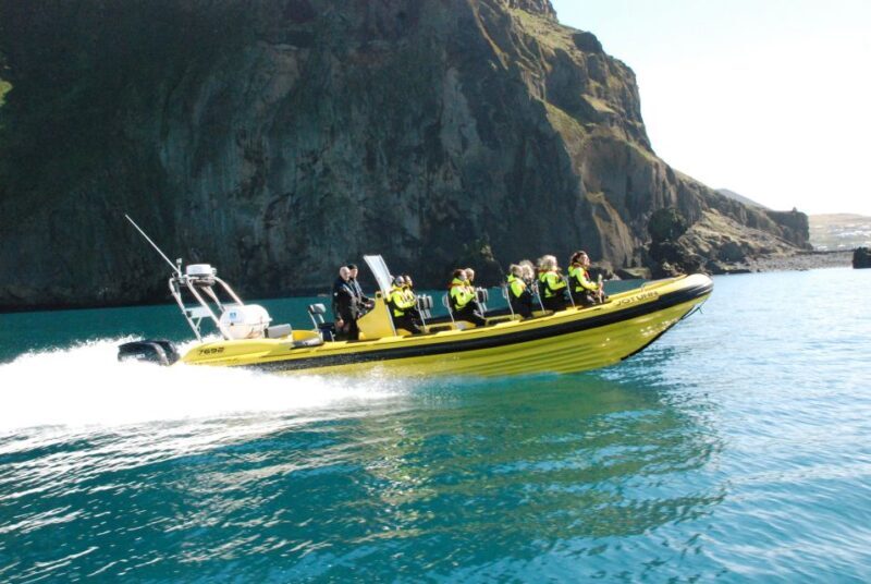 Reykjavik: Whale Watching by RIB Speedboat - Who Will Love This Tour?