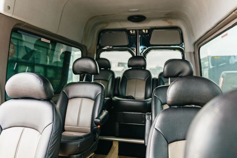 Reykjavík: Whale Watching Cruise on the Amelia Rose Yacht - Guides and commentary: the difference between seeing and understanding