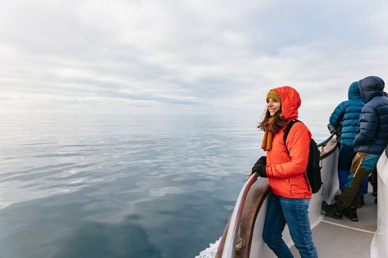 Reykjavík: Whale Watching Cruise on the Amelia Rose Yacht - Weather and seasickness: plan like a local, not like a hopeful