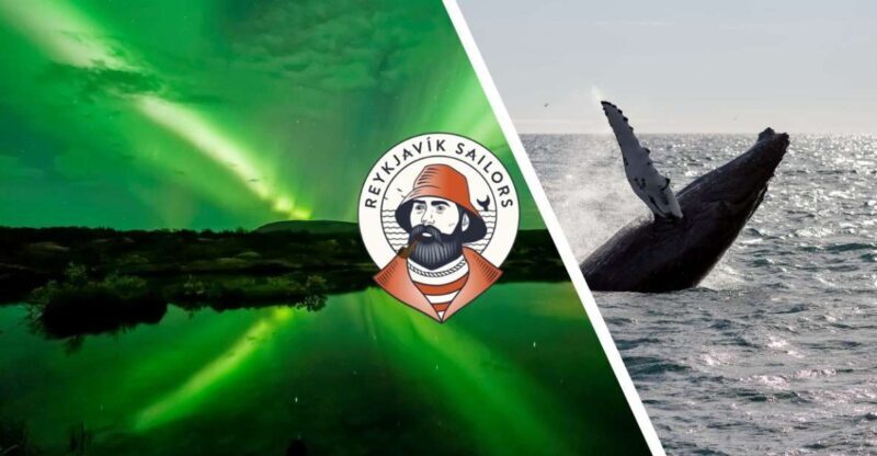 Reykjavik: Whale Watching & Northern Lights Combo Cruise - A Closer Look at What This Tour Entails