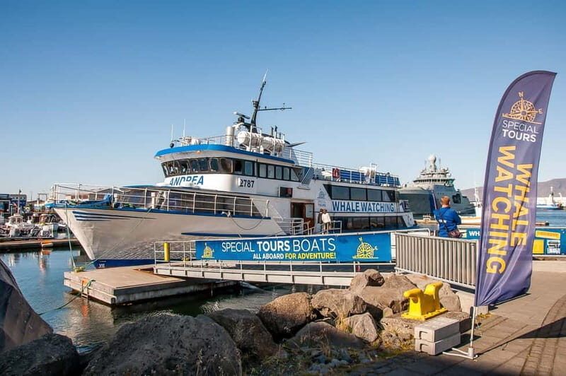 Reykjavik: Whale Watching Tour with Expert Guide - Who Should Consider This Tour?