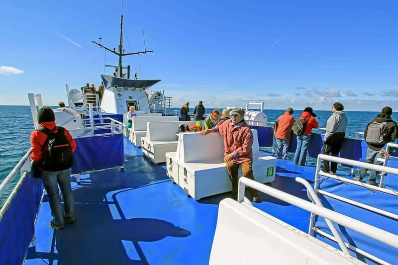 Reykjavik: Whale Watching Tour with Expert Guide - FAQ