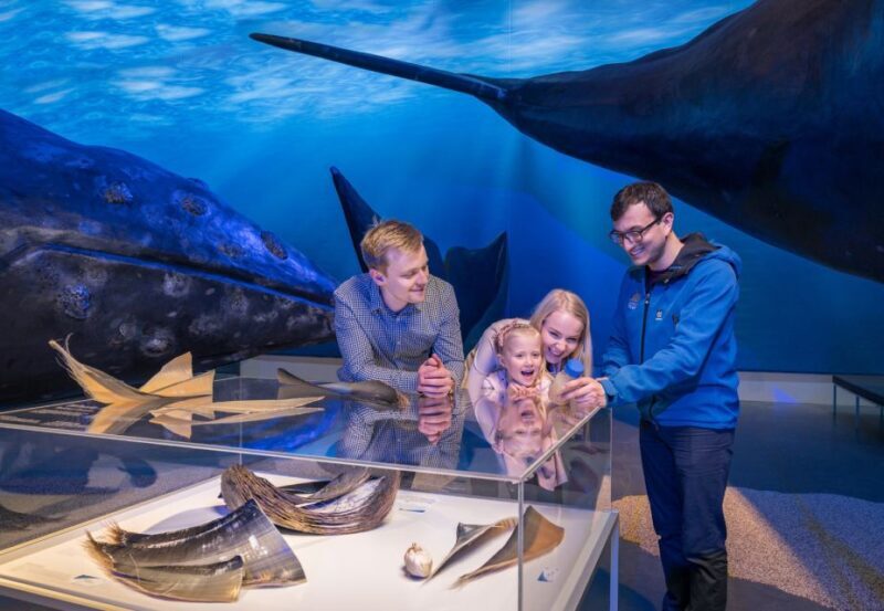 Reykjavik: Whales of Iceland Museum Entrance Ticket - Practical Details and Tips