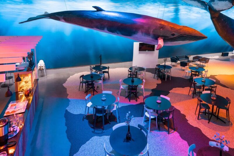 Reykjavik: Whales of Iceland Museum Entrance Ticket - Who Will Love This Experience?