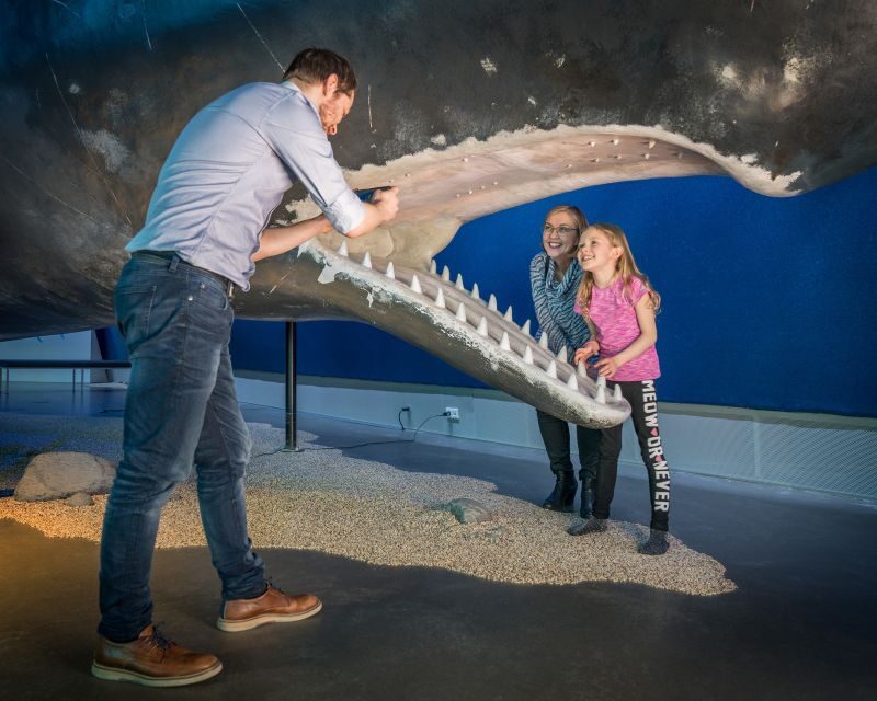 Reykjavik: Whales of Iceland Museum Entrance Ticket - The Sum Up