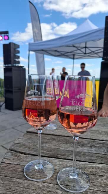 Rheingau: Wine Tour with Tasting - Starting Point and Logistics