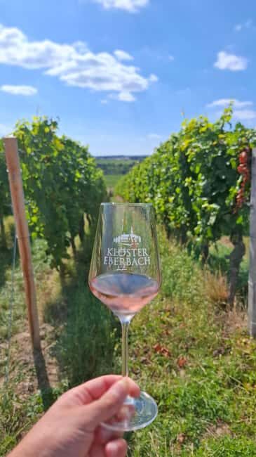 Rheingau: Wine Tour with Tasting - Schloss Johannisberg – A Historic Landmark