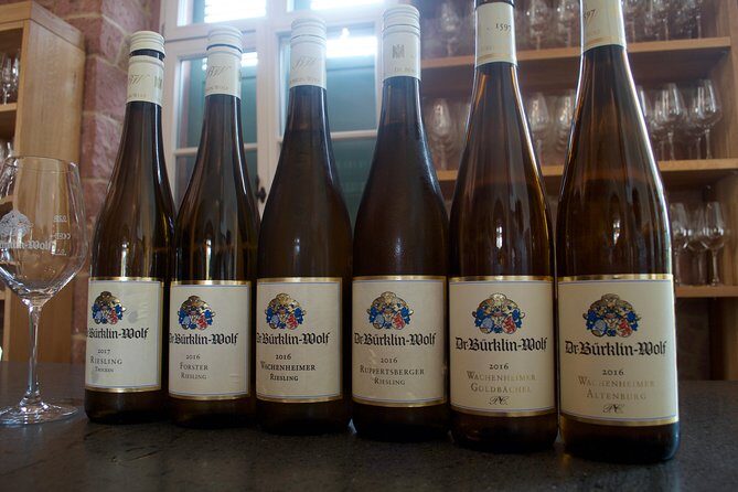 Rhine Valley Wine Tasting Tour from Frankfurt and Mainz - What to Expect on the Rhine Valley Wine Tasting Tour