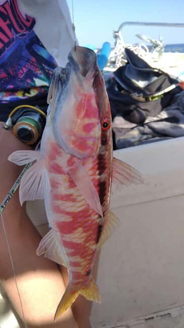 Rhodes: 4 Hour Private Boat Fishing Trip with Equipment - What Makes This Trip Special?