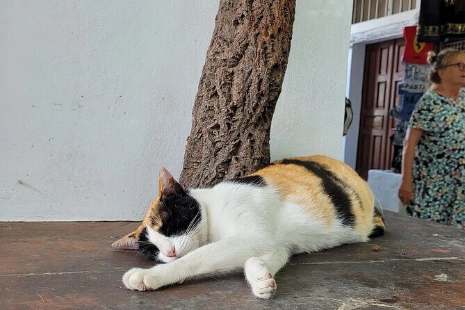 Rhodes Airport: One-way Private Luxury Transfer from Airport - Who Is This Transfer Best For?