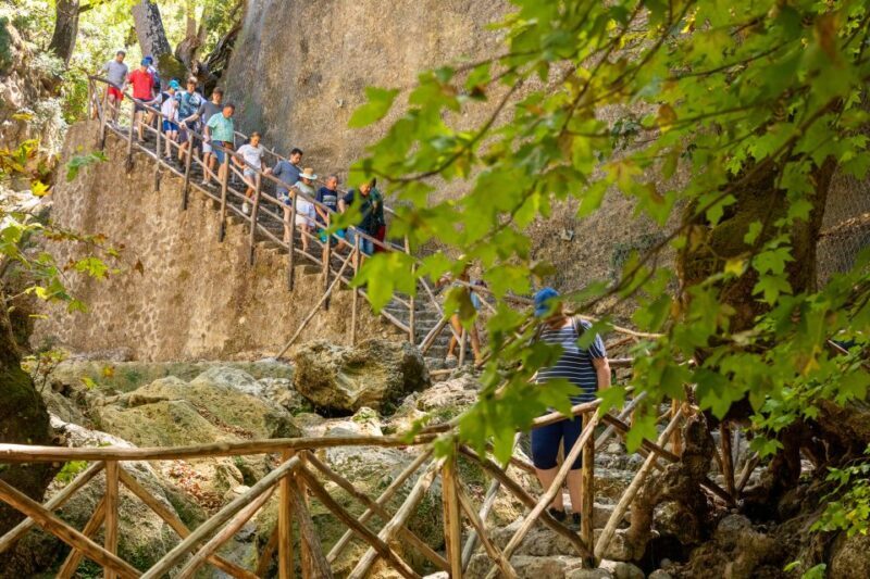 Rhodes: Butterfly Valley and Seven Springs Valley Day Trip - The Details of the Tour