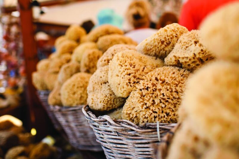 Rhodes: Day Trip to Symi Island by Fast Boat - An Overview of the Trip Experience