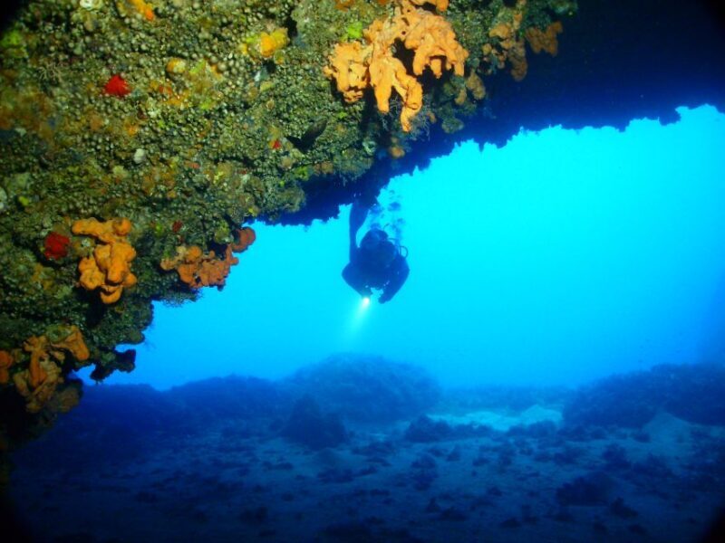 Rhodes: Diving Adventure for Beginners and Experts - The Pros and Cons