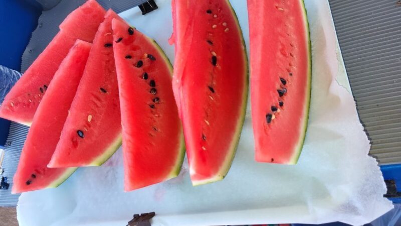 Rhodes: Fishing Trip, Snorkelling, BBQ, & Professional Guide - Authenticity and Guest Feedback