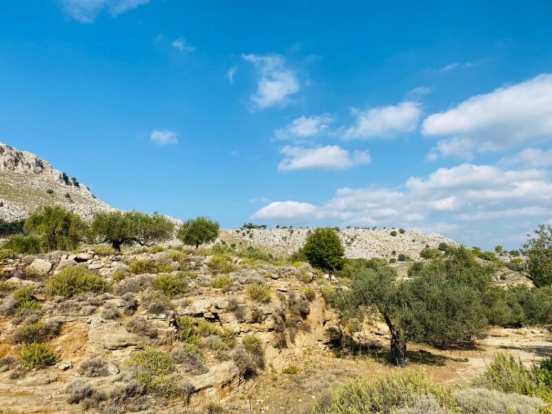 Rhodes: Guided Hike to 7 springs from Archangelos - The Experience from Travelers’ Perspectives