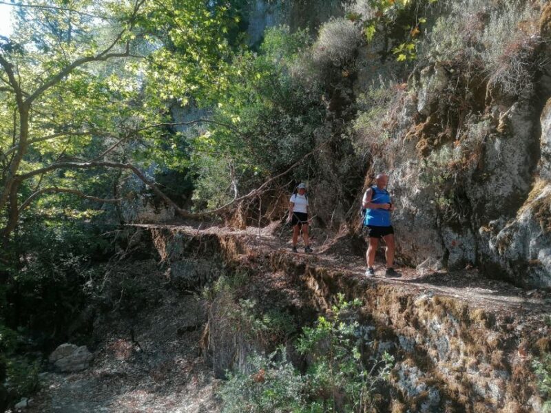 Rhodes: Guided Hike to 7 springs from Archangelos - Practical Tips for Your Hike