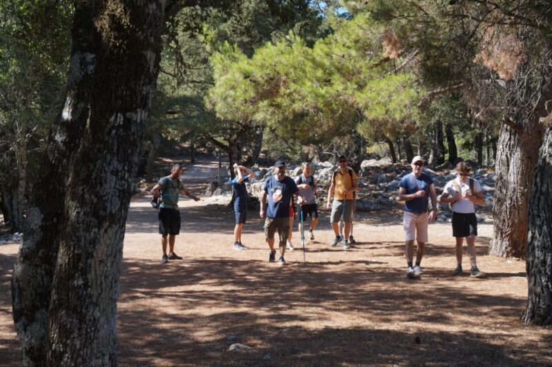 Rhodes: Hike Mountain Profitis Ilias from Salakos village - Who Would Love This Tour?