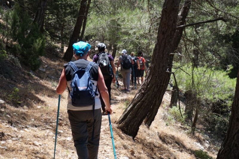 Rhodes: Hiking Tour to the Summit of Akramitis with Photos - The Practicalities