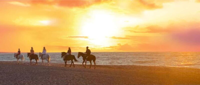 Rhodes Island: Horseback Riding at the Beach During Sunset - Key Points