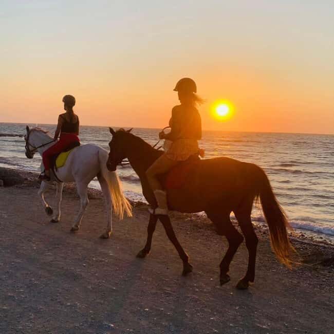 Rhodes Island: Horseback Riding at the Beach During Sunset - The Horses and Guides