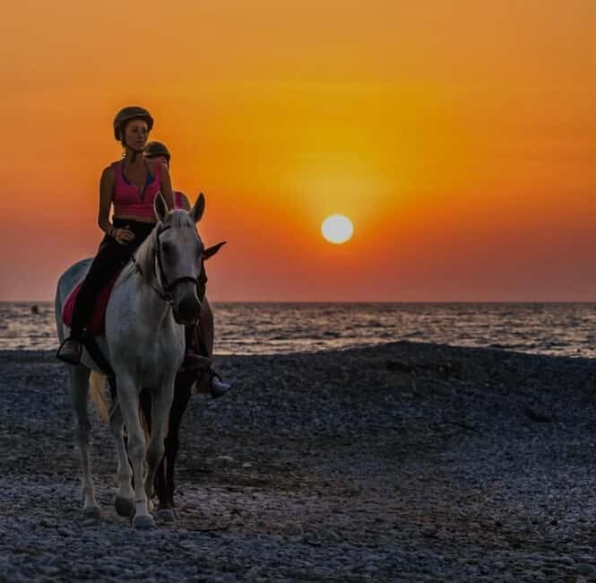 Rhodes Island: Horseback Riding at the Beach During Sunset - The Experience Environment